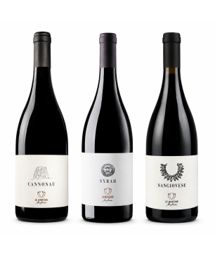 Box Degustazione Rossi Le Anfore - Elena Casadei [3 bot]