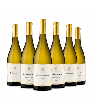 Box Le Vermentino 2024 BIO - Bodega Dussart Pedrón [6 bot]