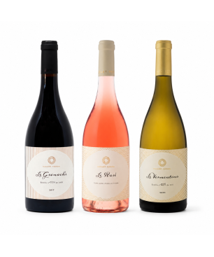 Box Degustazione Spagna BIO - Bodega Dussart Pedrón [3 bot]