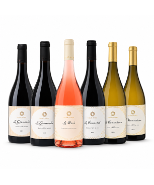 Box Degustazione Spagna BIO - Bodega Dussart Pedrón [6 bot]