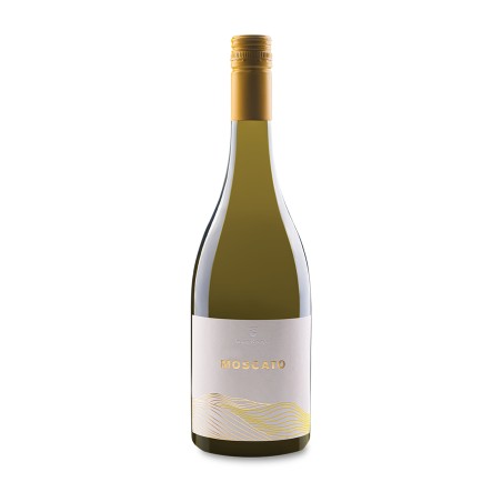 Moscato Umbria IGT Bianco 2025 - Guerrini
