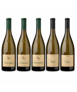Box Degustazione Bianchi Alto Adige - Terlan [5 bot]