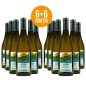 Pecorino Terre di Chieti IGT 2025 - Roccamarsi [6+6 Gratis]