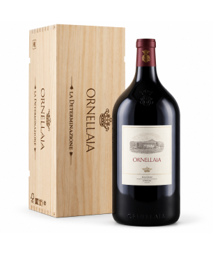 Ornellaia Bolgheri Superiore DOC 2023 - Tenuta dell'Ornellaia [Mathusalem 6L] *Pre-order*