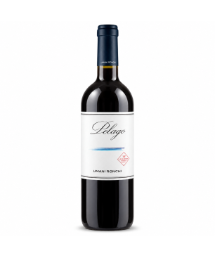 Pelago Marche Rosso IGT 2022 - Umani Ronchi