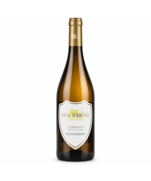 Falanghina Campania IGT 2025 - Casa d'Ambra