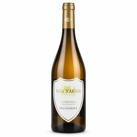 Falanghina Campania IGT 2025 - Casa d'Ambra