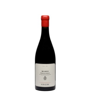 Teroldego Morei Vigneti delle Dolomiti Rosso IGT 2019 - Foradori