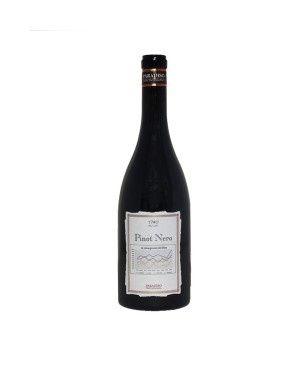 Pinot Nero Umbria IGT 2017 - Nuova Tenuta Paradiso