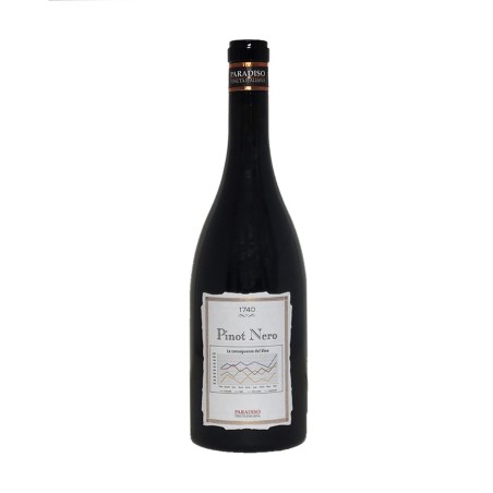 Pinot Nero Umbria IGT 2017 - Nuova Tenuta Paradiso